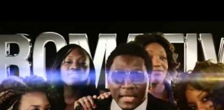 Chromativor Zalaka Pointe un enjailleur professionnel Zalaka Pointe Chromativor