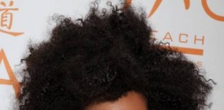 Les tenues de Solange Knowles