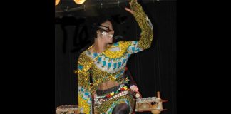 Projecteur sur le spectacle africain Danse sans Frontières