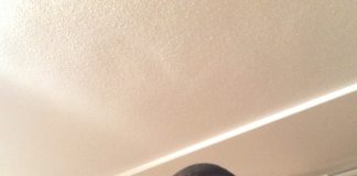 Raoul Loé et Aurelien Collin : les exportés de la formation française