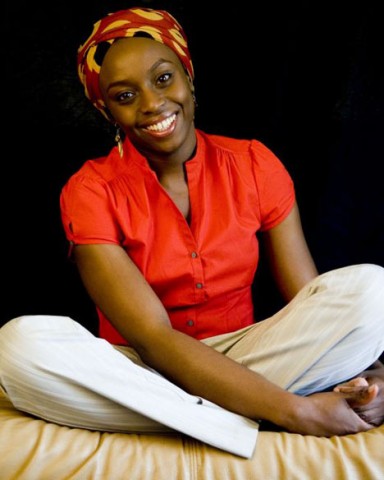 Chimamanda Adichie Ngozi Afropolitans Books Chimamanda Adichie Ngozi