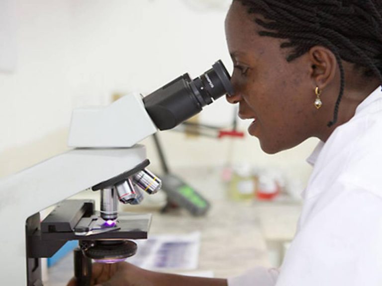 Le Prix de l’innovation pour l’Afrique : les finalistes 2013