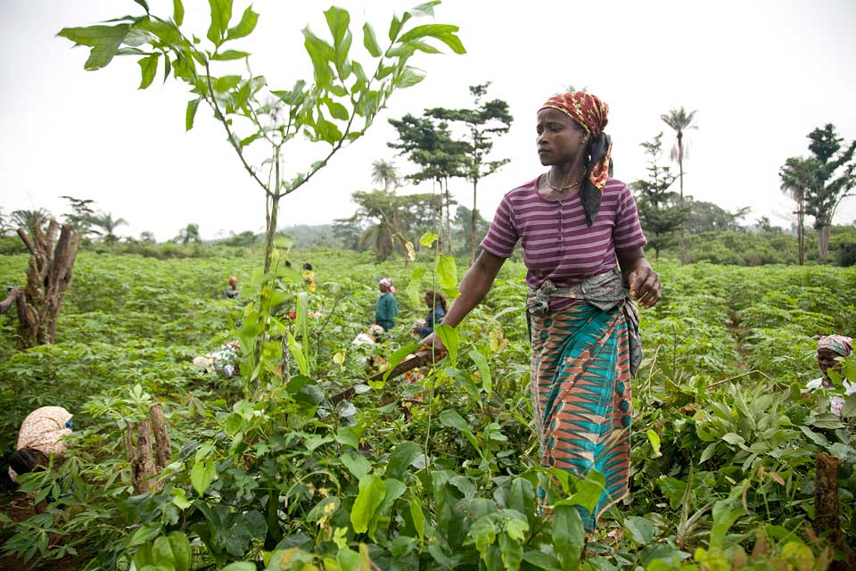 Le role des femmes dans l&#39;agriculture et la gastronomie africaine