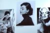 Les contemporains de #gracekelly Taylor, Hepburn et Munroe #SMM #MONTREALiN @sensation_mode