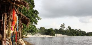 Cameroun: oser l’«Afrique en miniature» image cameroun kribi