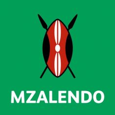 Mzalendo