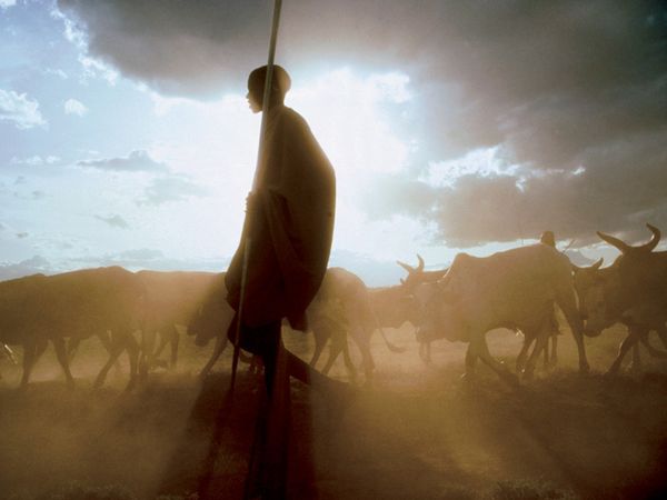masai-tribesman