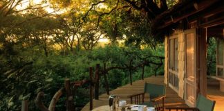 Voyager en Afrique pour les vacances : Les meilleurs plans trip Tanzania
