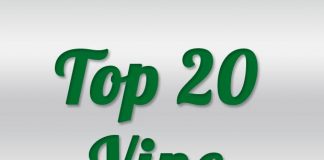 The Best Vines and Best Vine Videos 2013 The Best Vines and Best Vine Videos