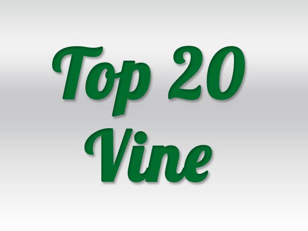 The Best Vines and Best Vine Videos