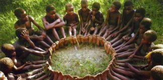 Le Cri des Pygmées Baka du Cameroun