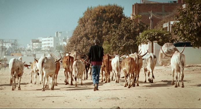 film cinema africain senegal