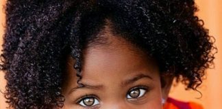 kan sorties black ou
