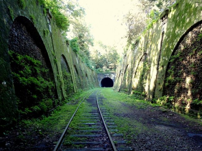 La petite ceinture