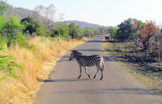 visiterlafrique-visiter-l-afrique-du-sud-image