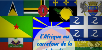 L’Afrique au carrefour de la créolisation