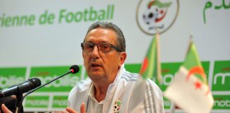 Georges Leekens démissionne après les performances décevantes de l’Algérie Georges Leekens demission Algerie