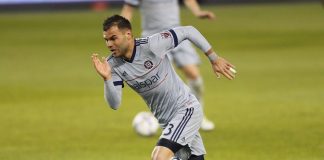 Mais d’où provient Nemanja Nikolic?